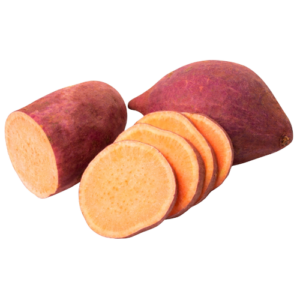 Sweet Potato